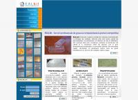 Website REALbit SRL