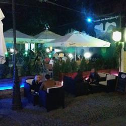 GOSSIP GARDEN
