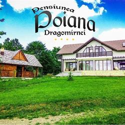 POIANA DRAGOMIRNEI