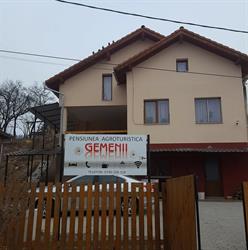 GEMENII