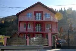 FLOARE DE BUCOVINA