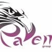RAVEN ACCOUNTING SRL