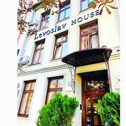 Villa Levoslav House
