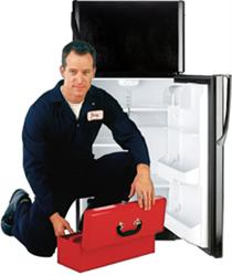 SC FRIGOMANIA INSTALL SERVICE SRL