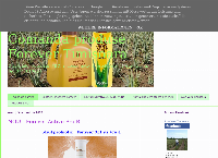 Website Aloe Vera Timisoara