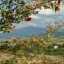 Încărcat de vizitator în 23.09.2016 