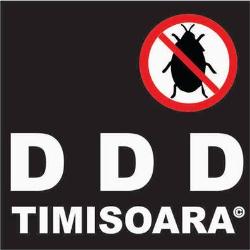 DDD TIMISOARA