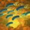 Helicobacter-Pylori