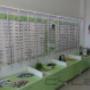 Încărcat de vizitator în 08.11.2016 