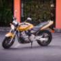 Categoria A - Honda Hornet