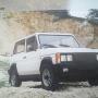 ornament aripa Aro10