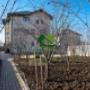 Curte camin batrani