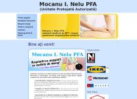 Mocanu i. Nelu Persoana Fizica Autorizata