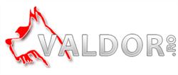 Valdor SRL