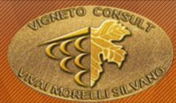 Vigneto Consult SRL