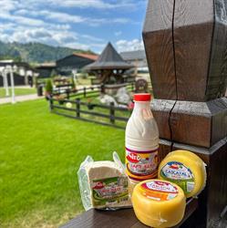 Niro Serv SRL - Produse lactate