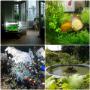 Încărcat de vizitator în 22.07.2017  - Aqua