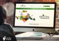 Web Design profesional