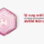 Firma web design