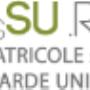 mssu - matricole si standarde unificate ENEL