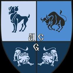 SC CONGEB ACG SRL