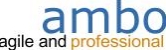 Ambo Software
