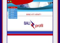 Website Bau Profil SRL