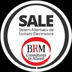 Brm Consultanţă În Afaceri