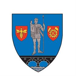 Consiliul Judetean Caras-Severin.