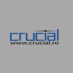 Crucial Systems & Services