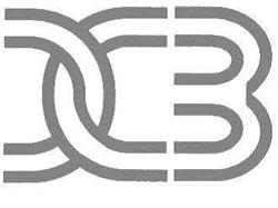 Development Consulting Business SRL