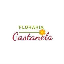 CASTANELA SRL