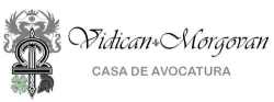 Casa de Avocatura Vidican Morgovan