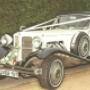 Beauford Alb-Negru