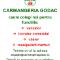 Hai-in-echipa-noastra-