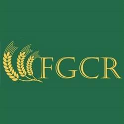 Fondul De Garantare A Creditului Rural Ifn SA
