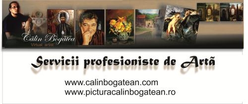 Calin Bogatean PFA