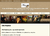 Website Calin Bogatean PFA