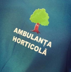 PFA Toma V Mărioara