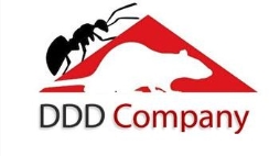 DDD COMPANY SRL
