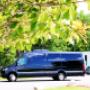 Sprinter 519