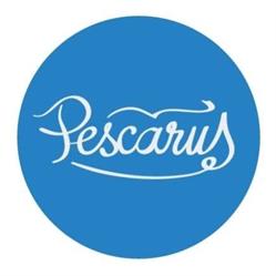 Pescăruş