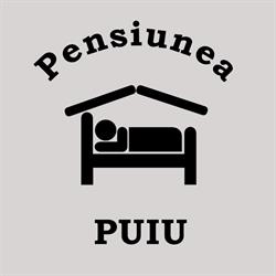 PUIU SRL