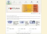 Website Fortuna SRL