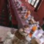Catering