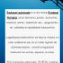 Traduceri1