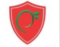SALTIC UTIL SERV SRL