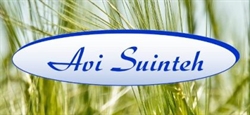 Avi Suinteh