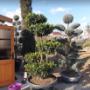 Planta exterior