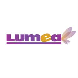 Lumea Basmelor International